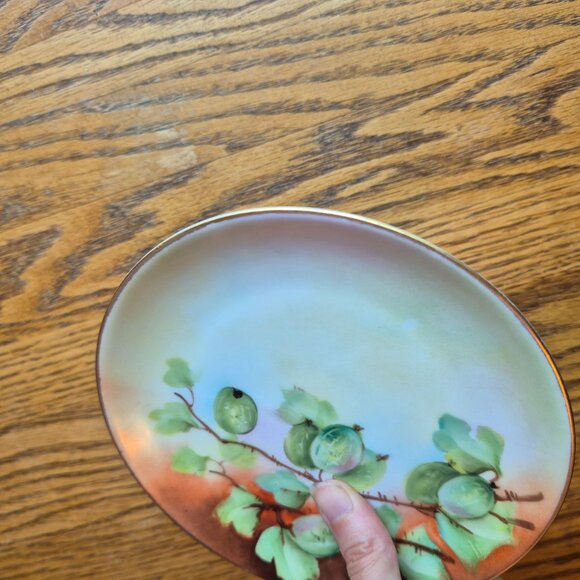 Hutchenreuther Selb Bavaria Handpainted Gold Trimmed Plate Cottagecore - Picture 10 of 13